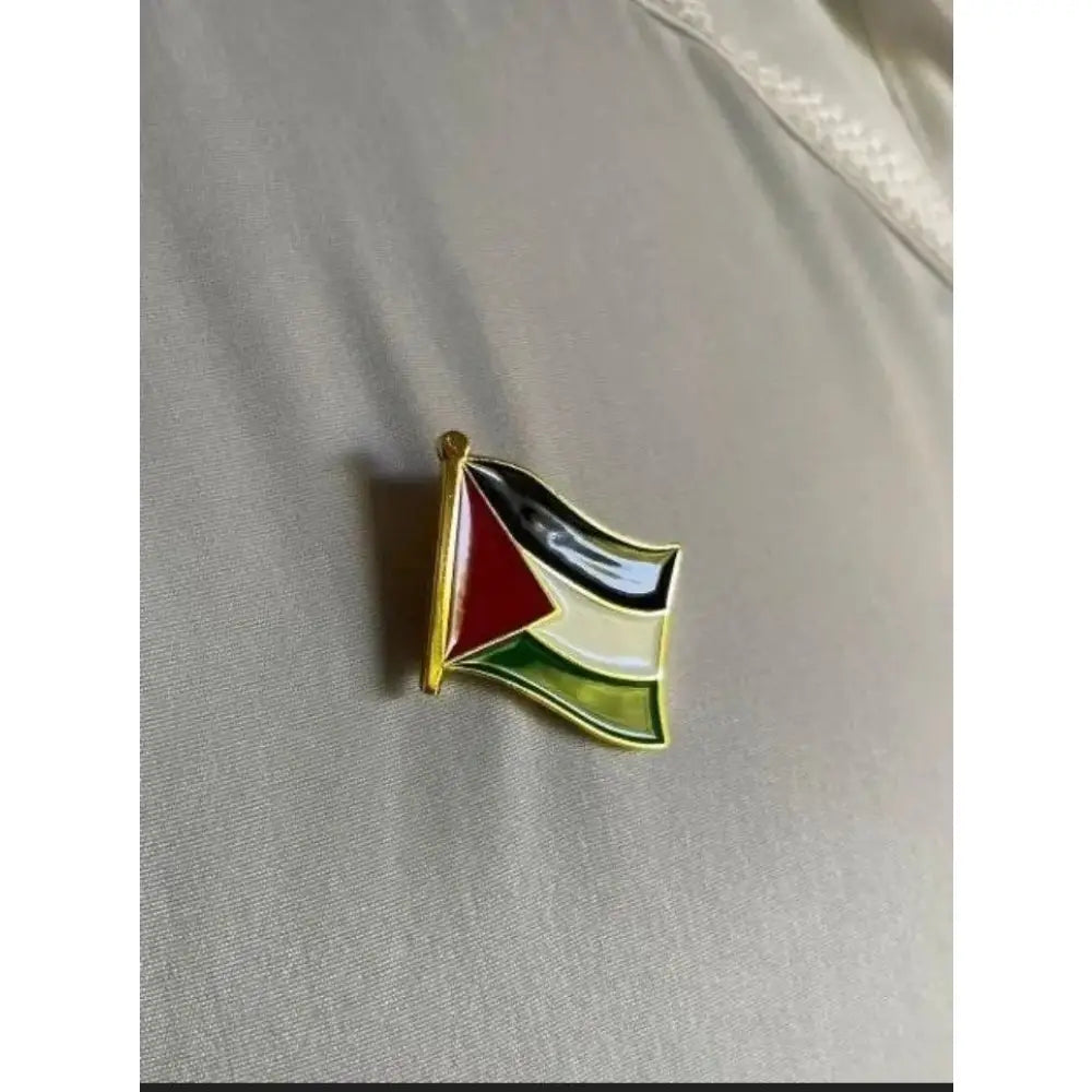 Palestine pin