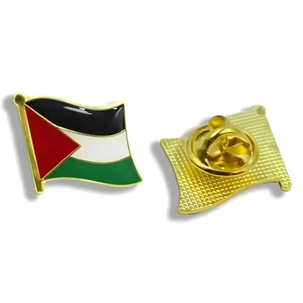 Palestine pin